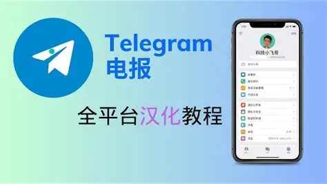 纸飞机转发功能怎么用？3个隐藏技巧和匿名设置全攻略